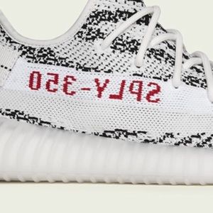 Meet your Posher, Caleb